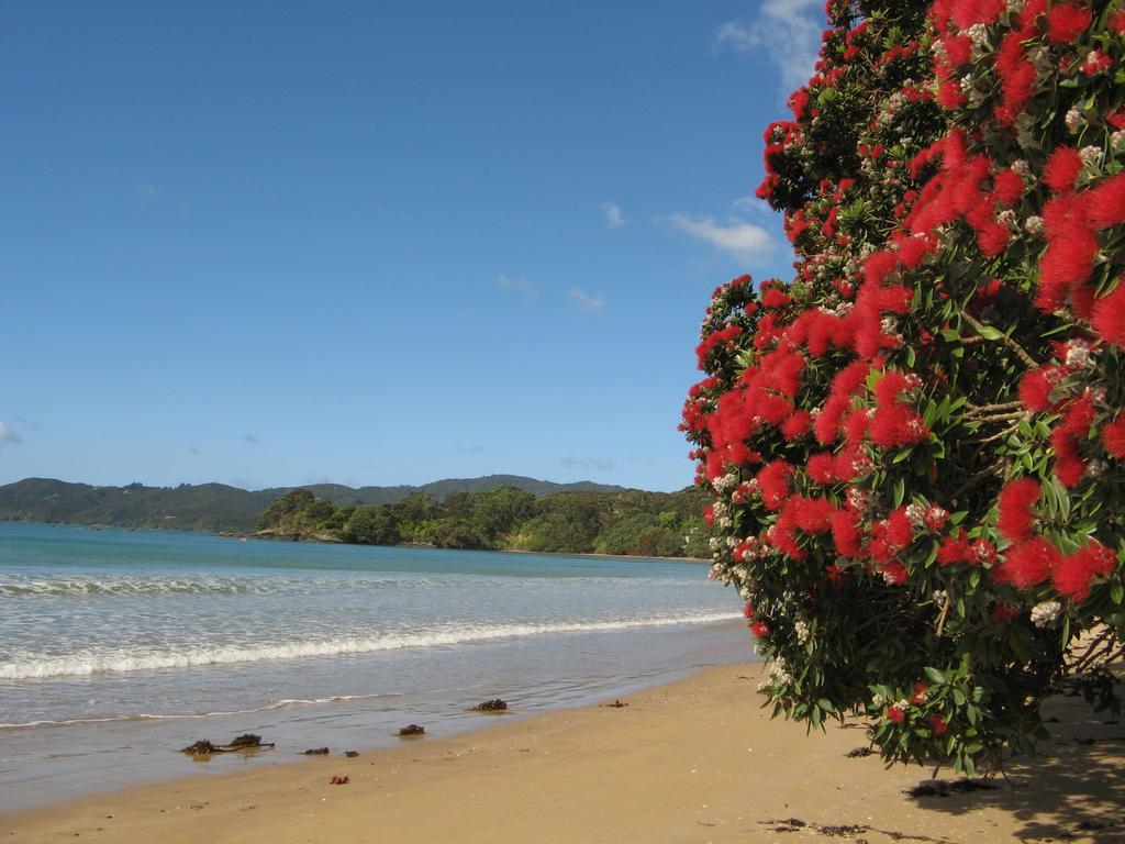 By The Bay Beachfront Apartments Mangonui Exterior photo